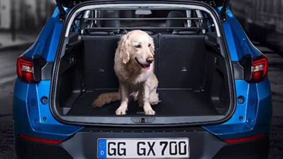 Opel Grandland X Opel Grandland X