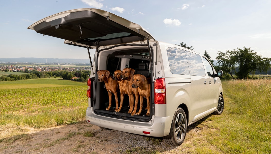 De Opel Zafira-e is ideaal voor dierenvriend