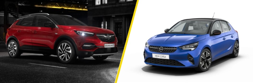 Opel Grandland X Hybrid4 en Opel Corsa-e Opel Grandland X Hybrid4 en Opel Corsa-e